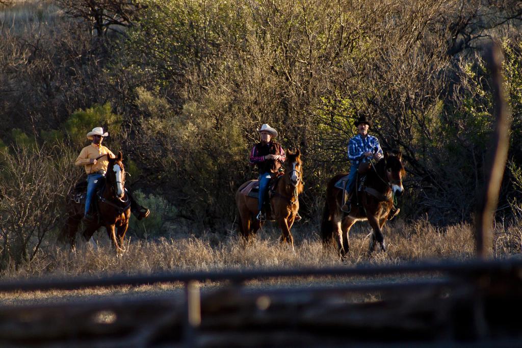 فندق Rancho De La Osa Guest Ranch Sasabe المظهر الخارجي الصورة