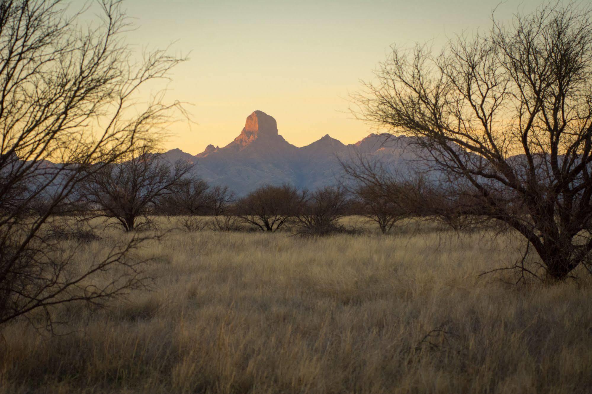 فندق Rancho De La Osa Guest Ranch Sasabe المظهر الخارجي الصورة