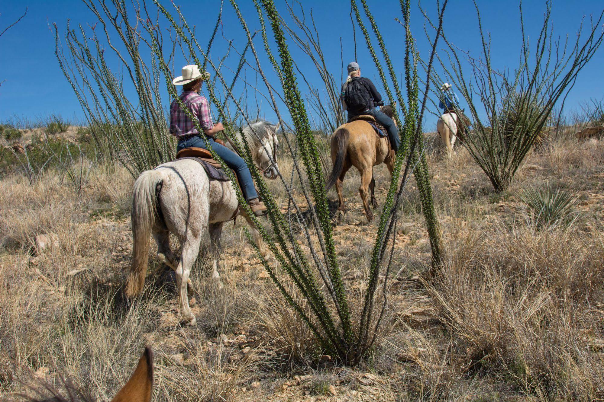 فندق Rancho De La Osa Guest Ranch Sasabe المظهر الخارجي الصورة
